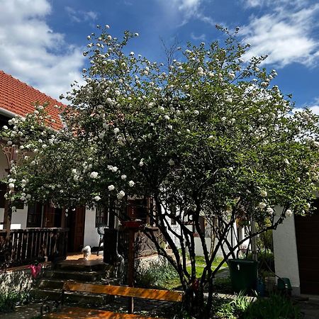 Magnolia Garden Daire Miskolc Dış mekan fotoğraf
