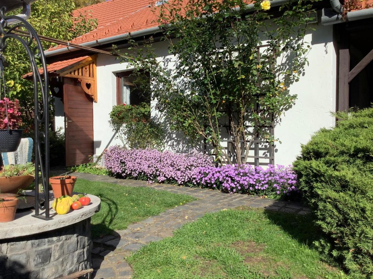 Magnolia Garden Daire Miskolc Dış mekan fotoğraf