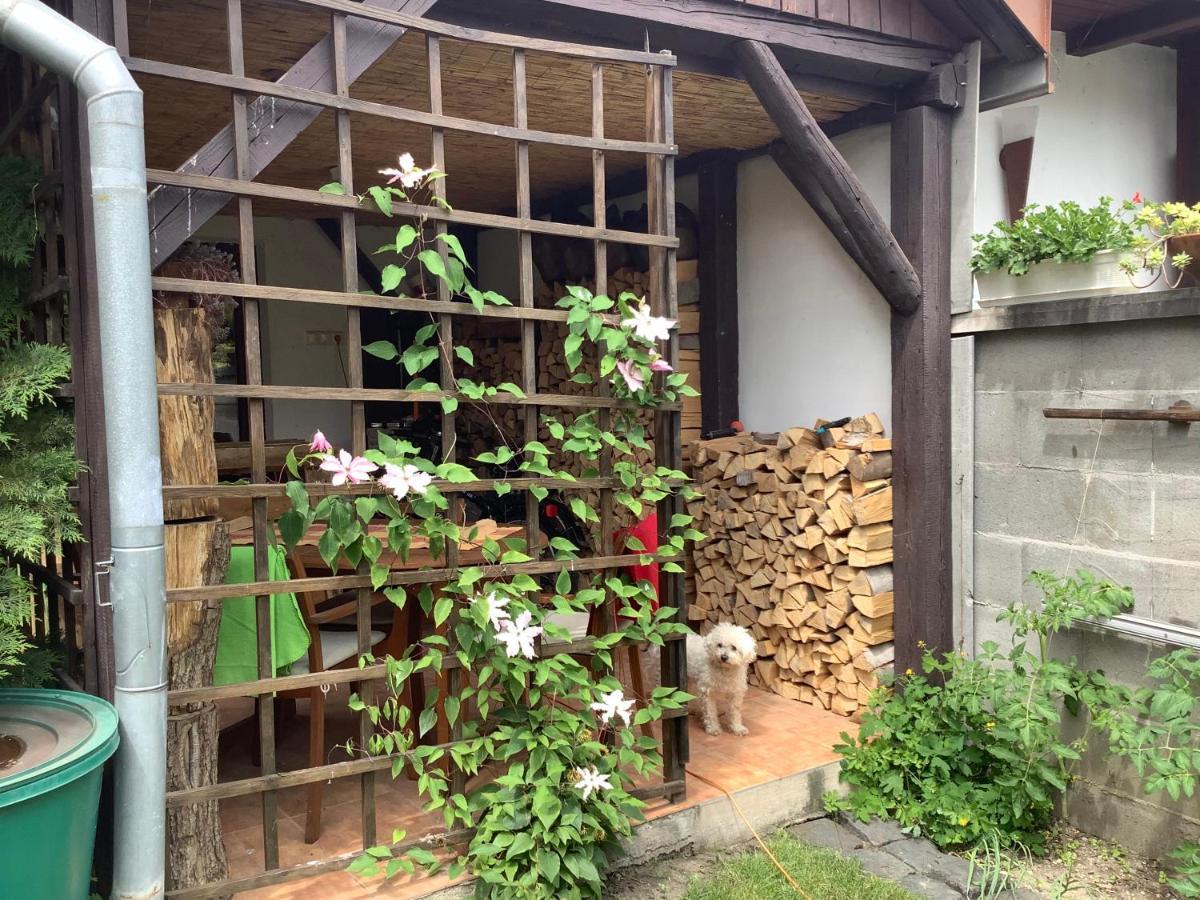 Magnolia Garden Daire Miskolc Dış mekan fotoğraf